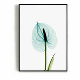 Paint by numbers flower